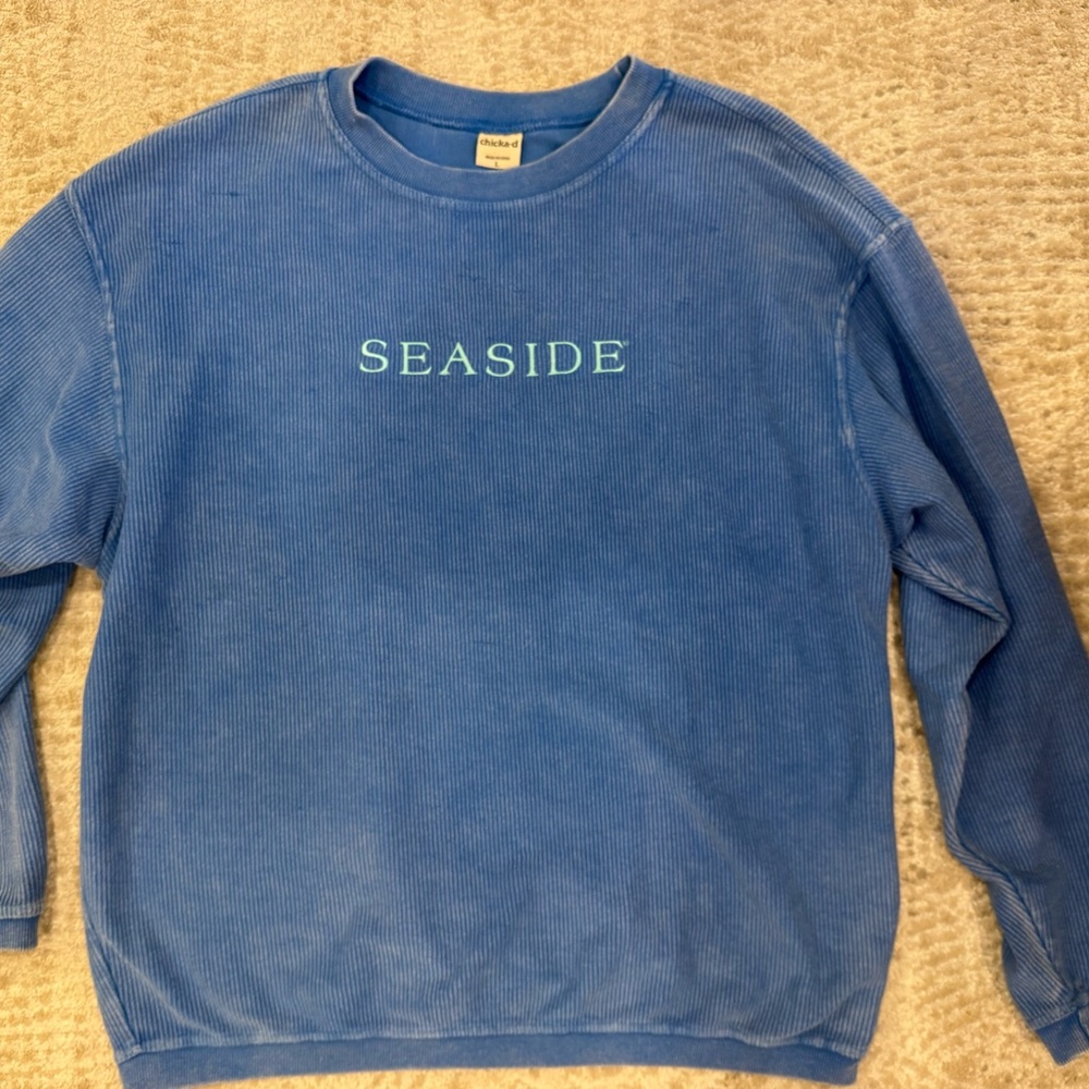Blue Sweater